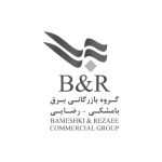 گروه بازرگانی برق بامشکی