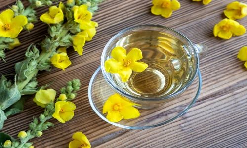 تصویری از دمنوش گیاه ماهور یا خرگوشک