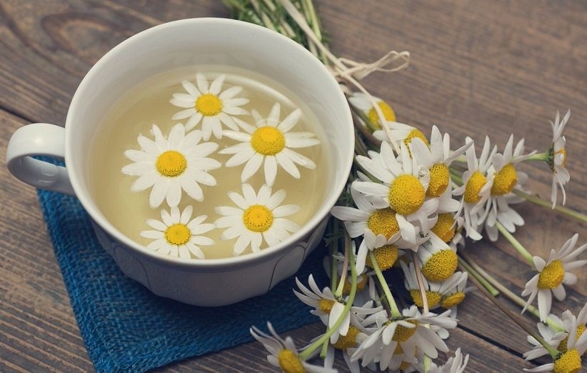تصویری از دمنوش بابونه برای درمان زخم معده