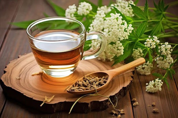 تصویری از بهترین دمنوشهای خواب آور
