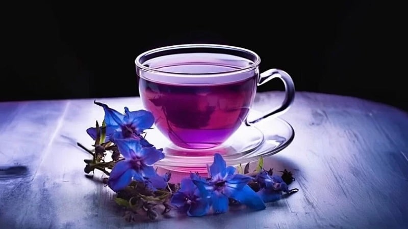 دمنوش گل گاوزبان